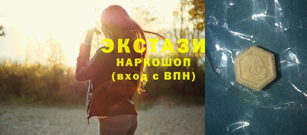 индика Дмитров