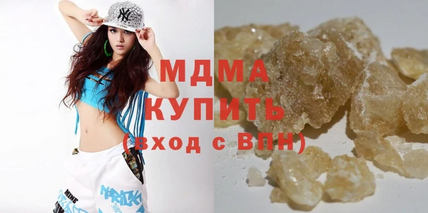 индика Дмитров