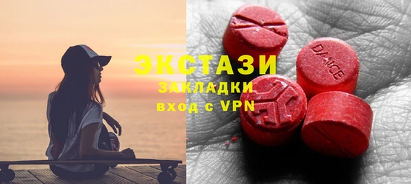 индика Дмитров