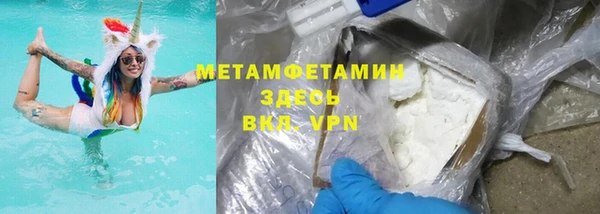 индика Дмитров