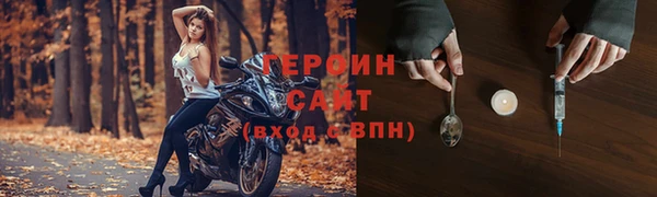 индика Дмитров