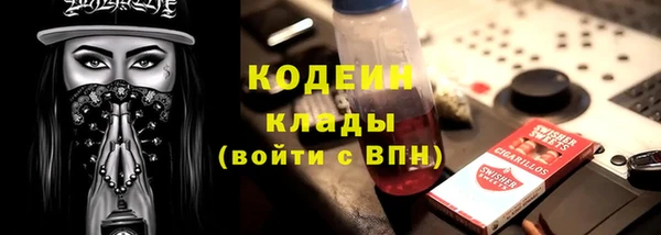 индика Дмитров