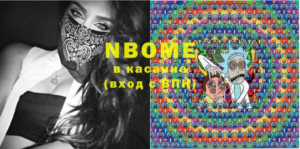индика Дмитров