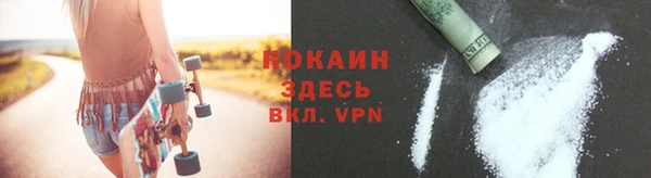 индика Дмитров