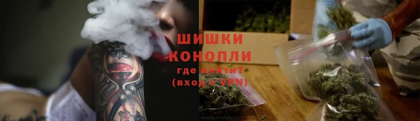 индика Дмитров