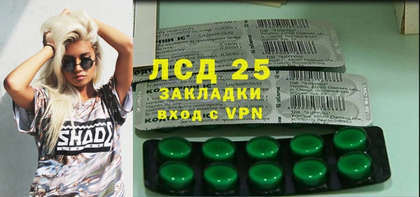 индика Дмитров