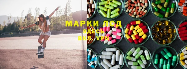 индика Дмитров