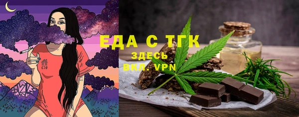 индика Дмитров