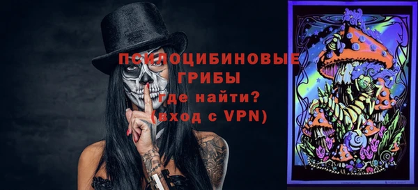 а пвп мука Дмитриев
