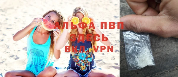 индика Дмитров