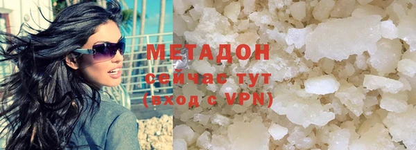 индика Дмитров