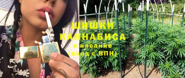 индика Дмитров