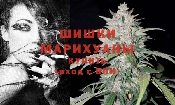 индика Дмитров