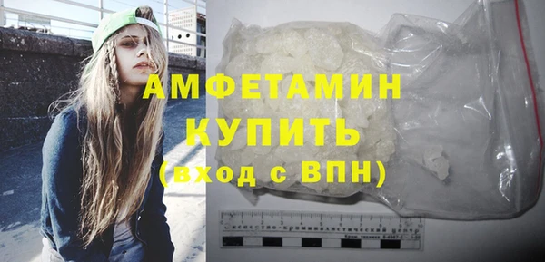 индика Дмитров