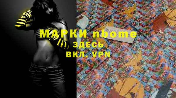 индика Дмитров