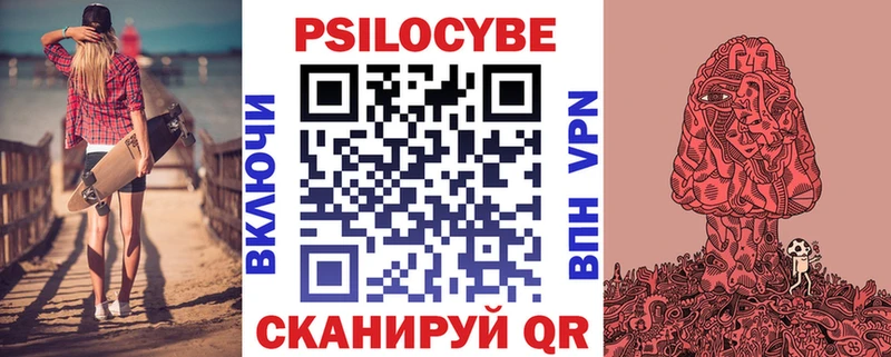 Галлюциногенные грибы Psilocybe Купить Новосокольники