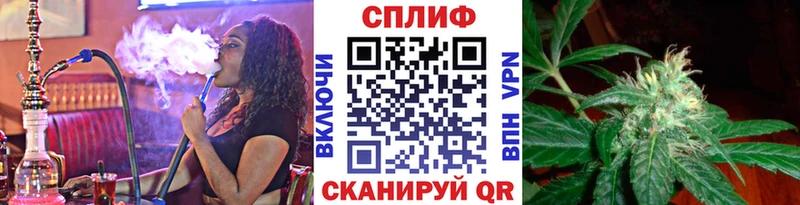 Купить  Новосокольники  Шишки марихуана MAZAR 